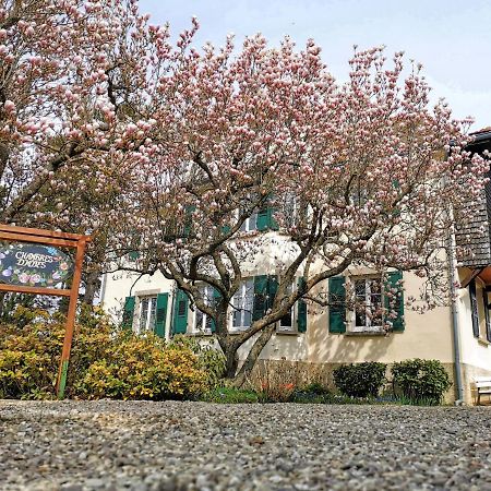La Tirelire Bed and Breakfast Cosswiller Εξωτερικό φωτογραφία