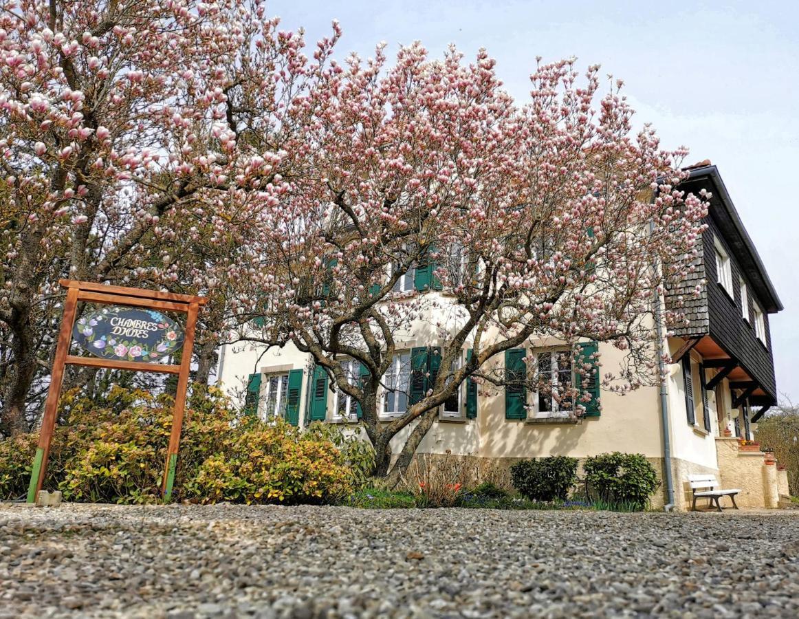 La Tirelire Bed and Breakfast Cosswiller Εξωτερικό φωτογραφία