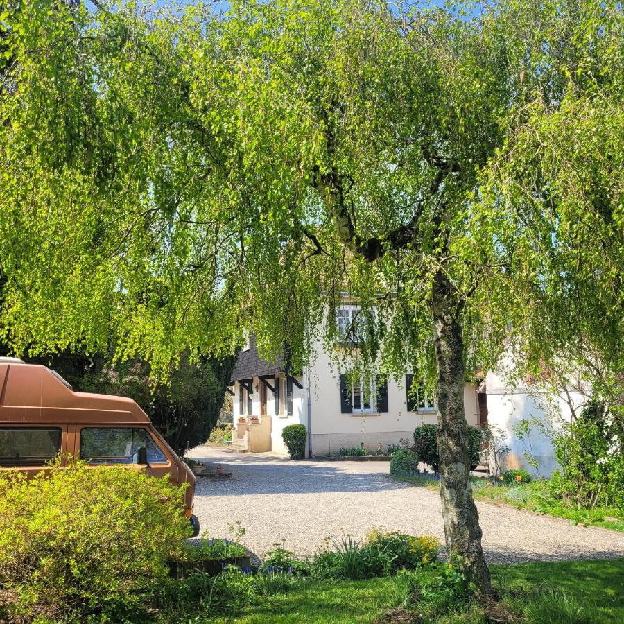 La Tirelire Bed and Breakfast Cosswiller Εξωτερικό φωτογραφία